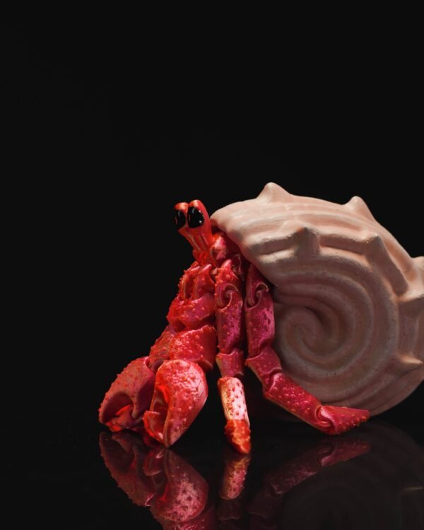 Caranguejo Eremita Articulado